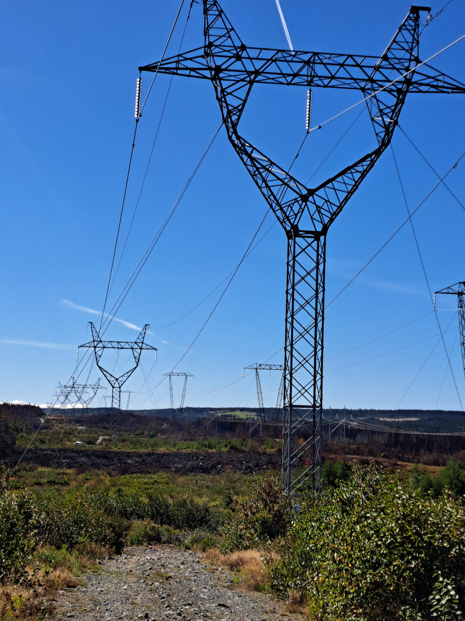 Aftermath of AHWC fire