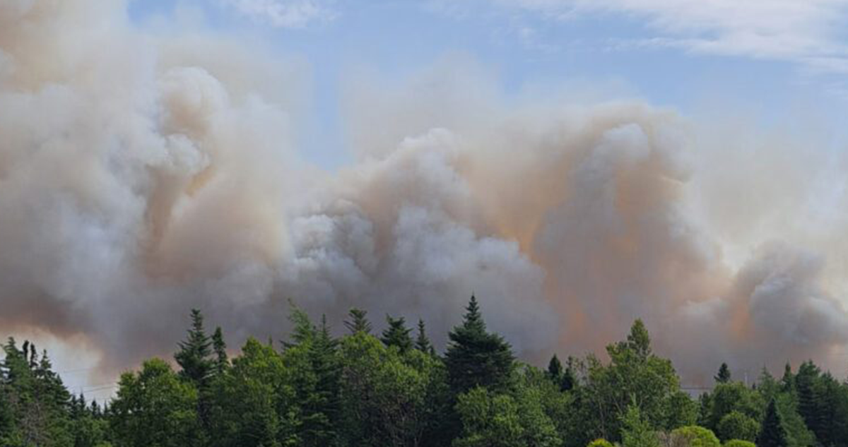 Smoke billowing above trees from fires in NL