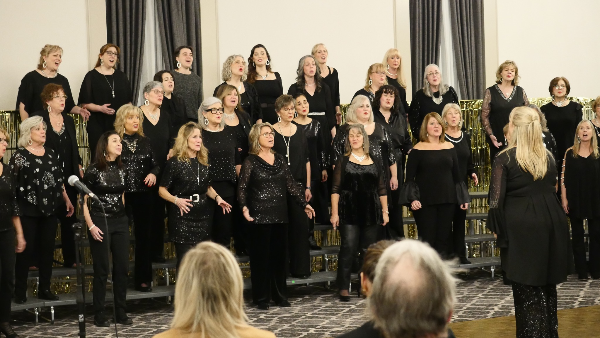 North Metro Chorus performing at Harmony for Hope